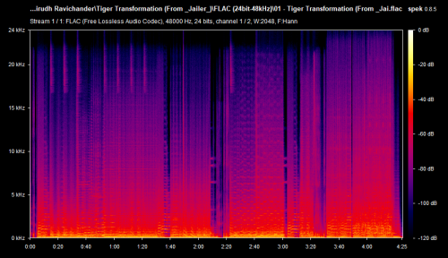 01---Tiger-Transformation-From-_Jai.flac.png