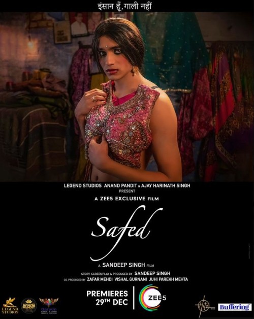 Safed (2023) Hindi Full Movie WEB-DL 480p [200MB] | 720p [500MB] | 1080p [900MB] | 2160p 4K [2.3GB]