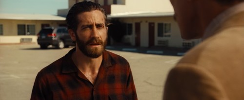 Nocturnal Animals (2016) 1080p 10bit BluRay HEVC x265 [Hindi NF DDP 5.1 448kbps + English AAC 5.1] E