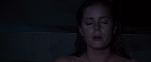 Nocturnal Animals (2016) 1080p 10bit BluRay HEVC x265 [Hindi NF DDP 5.1 448kbps + English AAC 5.1] E