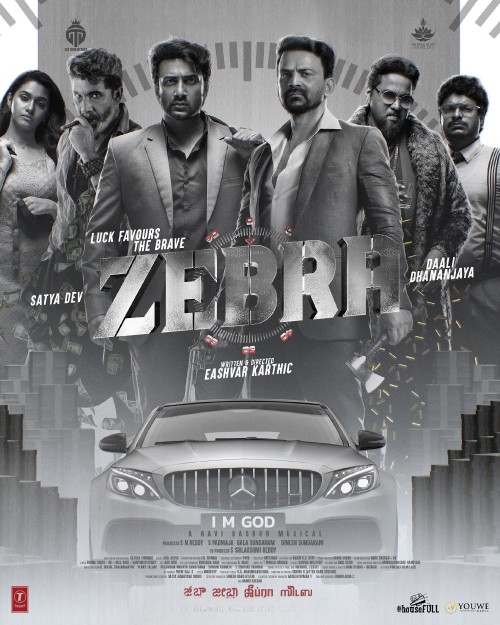 Zebra(2024)Multi TBL
