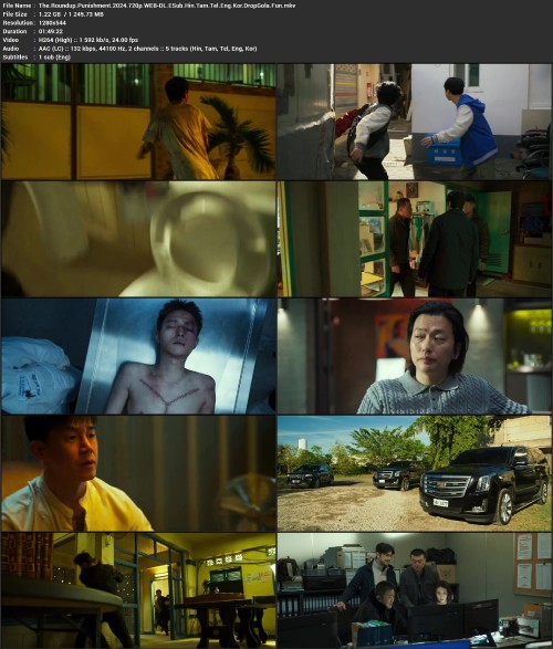 The.Roundup.Punishment.2024.720p.WEB DL.ESub.Hin.Tam.Tel.Eng.Kor.DropGola.Fun.mkv