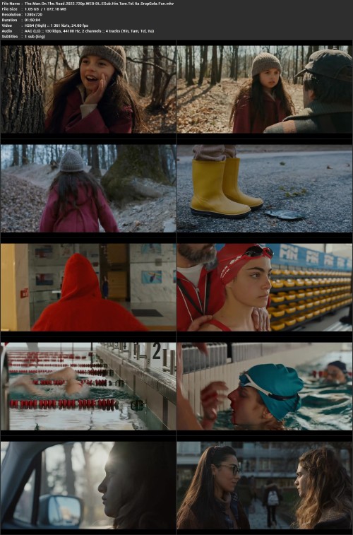 The.Man.On.The.Road.2022.720p.WEB DL.ESub.Hin.Tam.Tel.Ita.DropGola.Fun.mkv