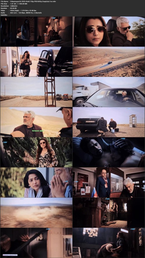 Vidaamuyarchi.2025.Hindi.720p.PREHDRip.DropGola.Fun.mkv