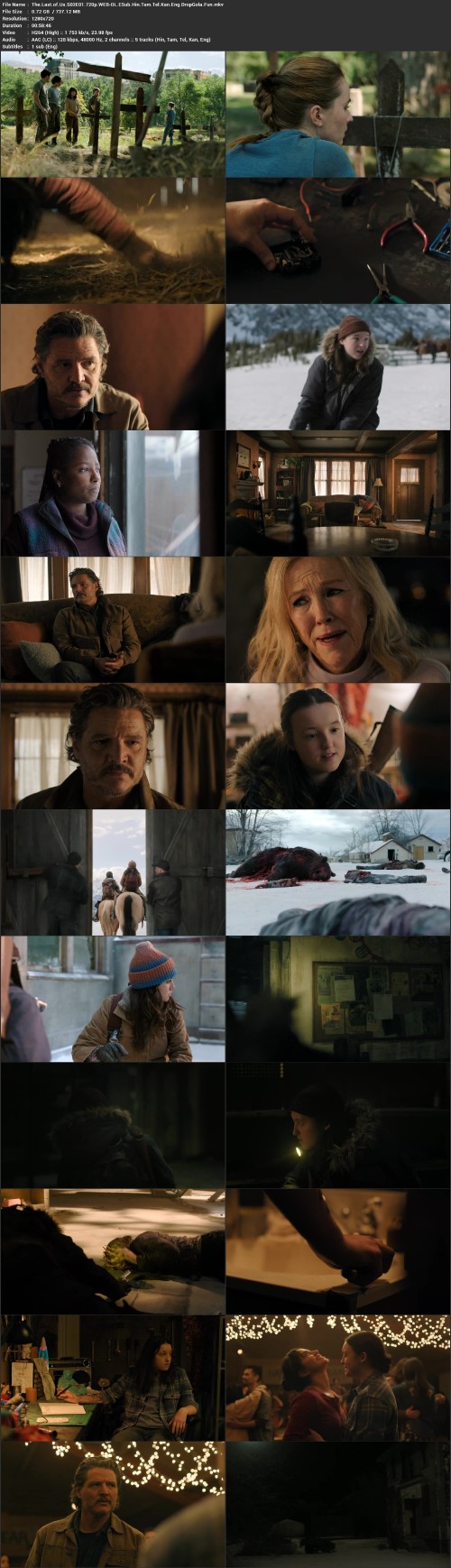 The.Last.of.Us.S02E01.720p.WEB DL.ESub.Hin.Tam.Tel.Kan.Eng.DropGola.Fun.mkv