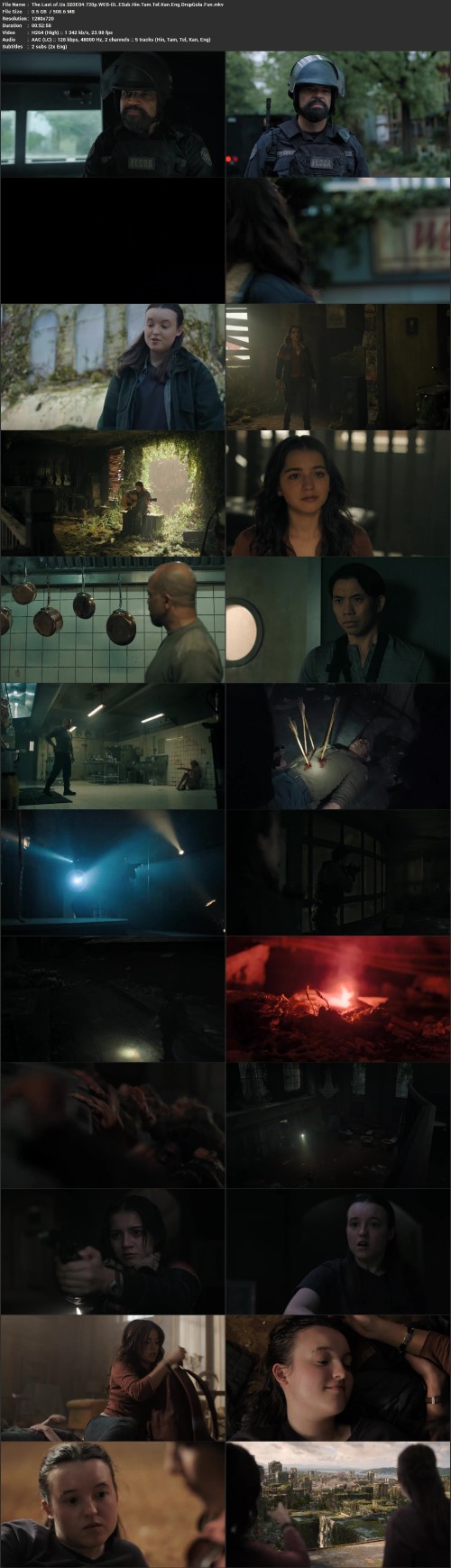 The.Last.of.Us.S02E04.720p.WEB DL.ESub.Hin.Tam.Tel.Kan.Eng.DropGola.Fun.mkv