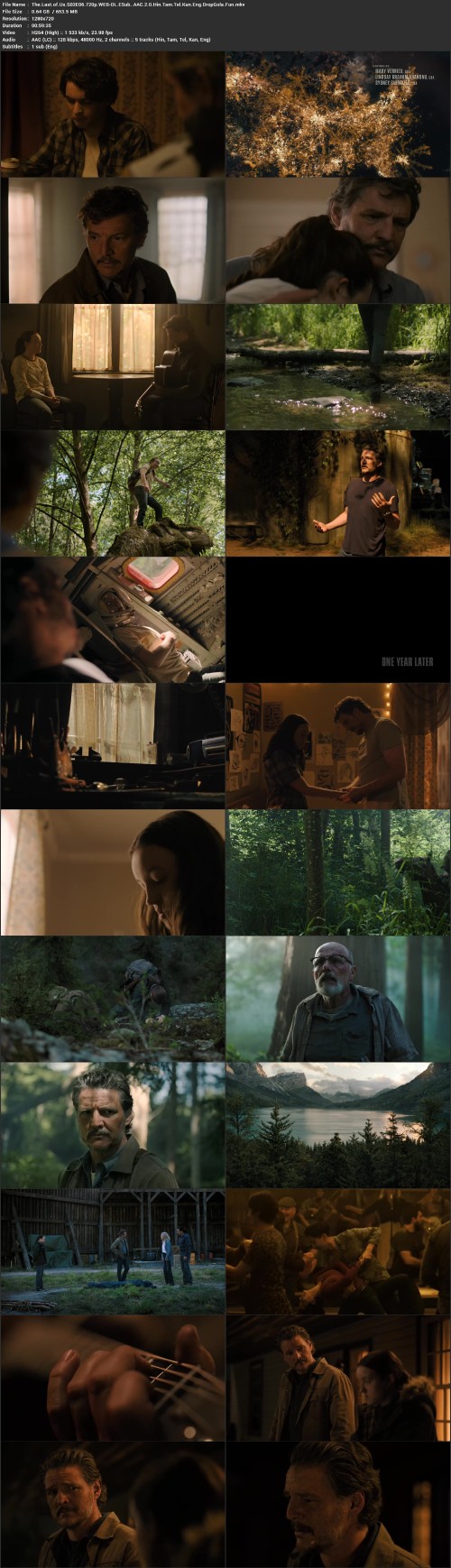 The.Last.of.Us.S02E06.720p.WEB DL.ESub..AAC.2.0.Hin.Tam.Tel.Kan.Eng.DropGola.Fun.mkv
