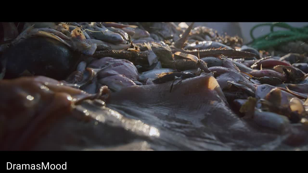 1000294905.jpg
