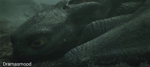 photo 2025 06 21 22 32 33